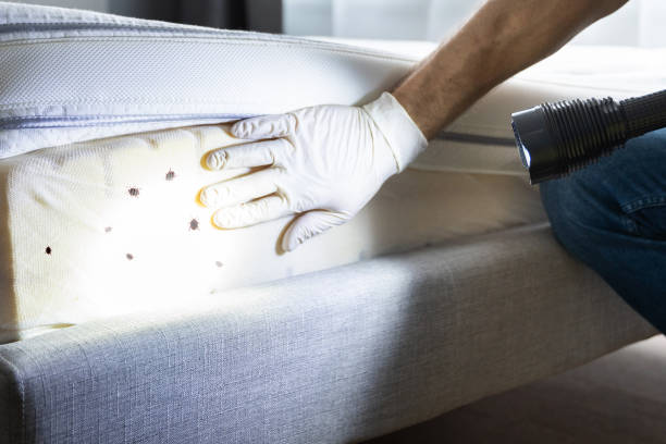 Best Pest Control Near Me  in South Monroe, MI
