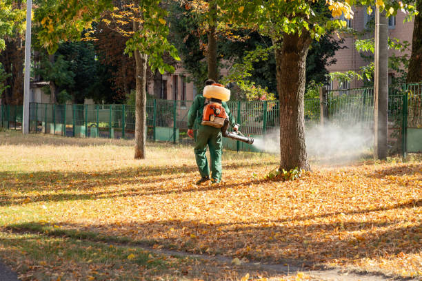 Best Affordable Pest Control Services  in South Monroe, MI