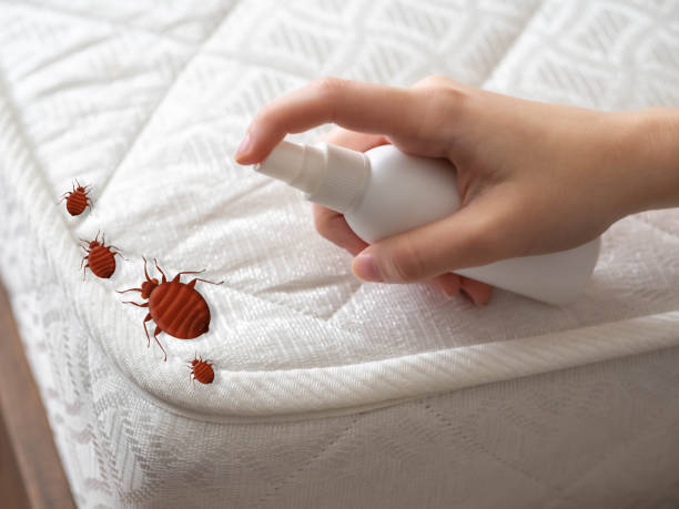 Pest Control for Restaurants in South Monroe, MI
