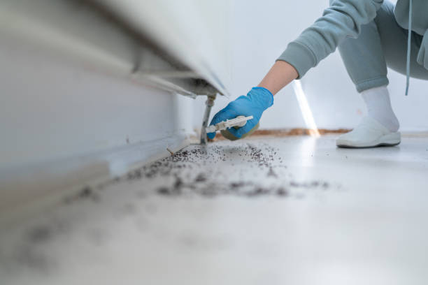 Best Insect Control  in South Monroe, MI