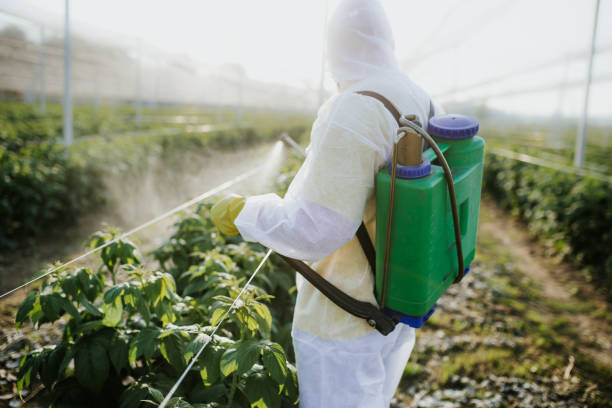 Best Best Pest Control Companies  in South Monroe, MI